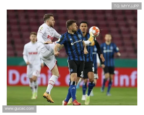 汉堡整体实力本赛季表现稳健，竞争力持续提升