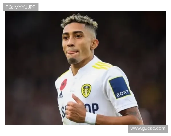 维尼修斯进攻参与度解析：从边路爆点到核心进攻点的转型