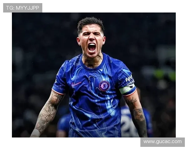 恩佐与卡马文加的潜力之争：战术角色、发展上限与中场结构差异在哪？